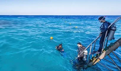 Discover Scuba Diving 724x426