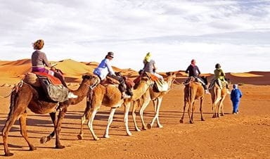 Horse or Camel Ride at The Oberoi Beach Resort Sahl Hasheesh