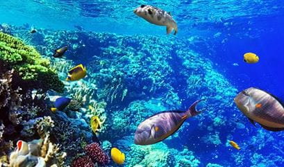 Makadi Water World at The Oberoi Beach Resort Sahl Hasheesh