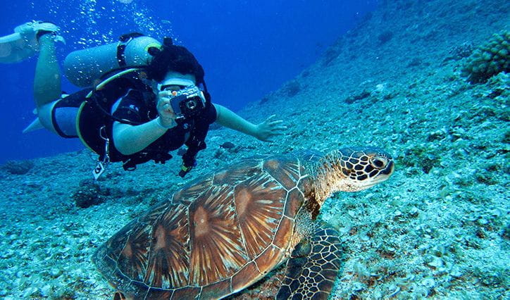 Scuba Diving in Sahl Hasheesh