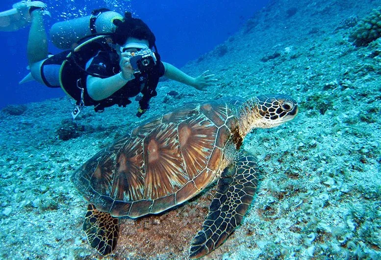 Scuba Diving in Sahl Hasheesh