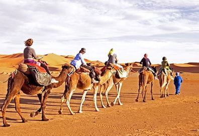 Horse or Camel Ride at The Oberoi Beach Resort Sahl Hasheesh
