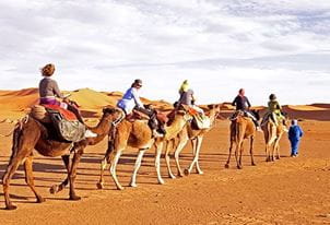 Horse or Camel Ride at The Oberoi Beach Resort Sahl Hasheesh