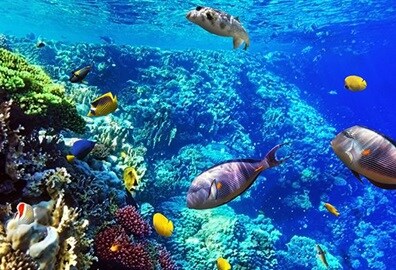 Makadi Water World at The Oberoi Beach Resort Sahl Hasheesh