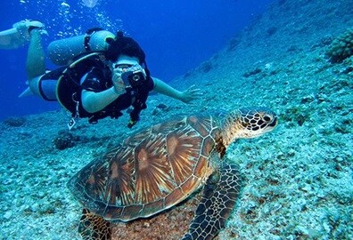 Scuba Diving in Sahl Hasheesh