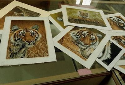 Ranthambhore School of Arts, Ranthambhore