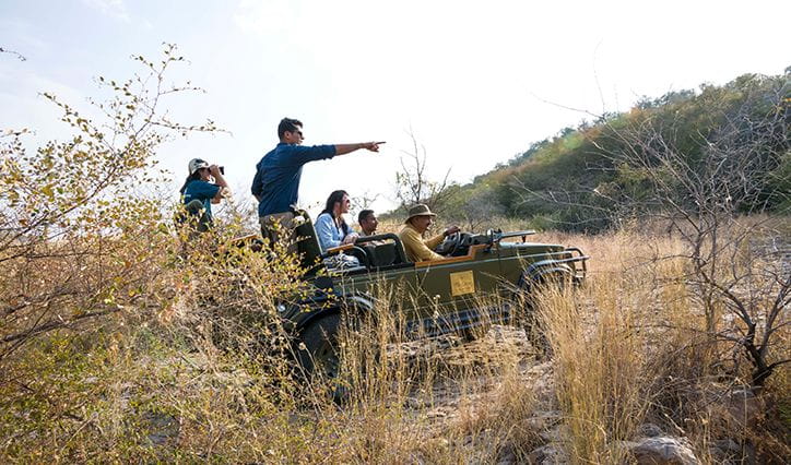 Jungle Drive Experience at The Oberoi Vanyavilas Ranthambhore