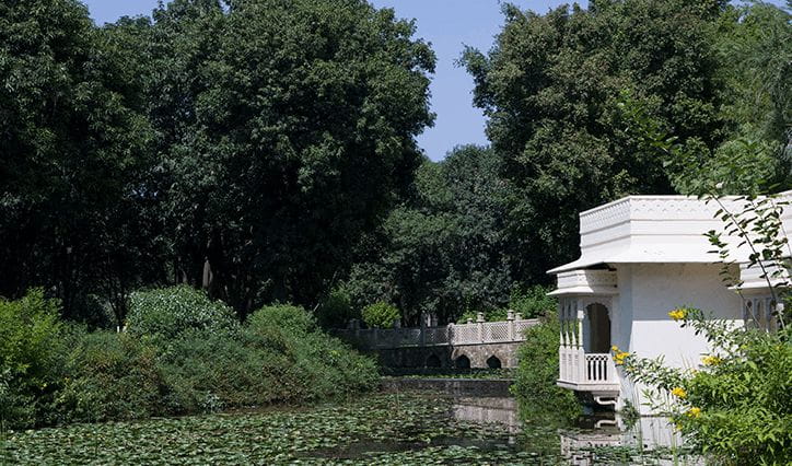 Trail of Wellbeing Experience at The Oberoi Vanyavilas Ranthambhore