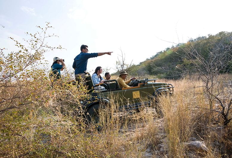 Jungle Drive Experience at The Oberoi Vanyavilas Ranthambhore