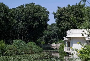 Trail of Wellbeing Experience at The Oberoi Vanyavilas Ranthambhore