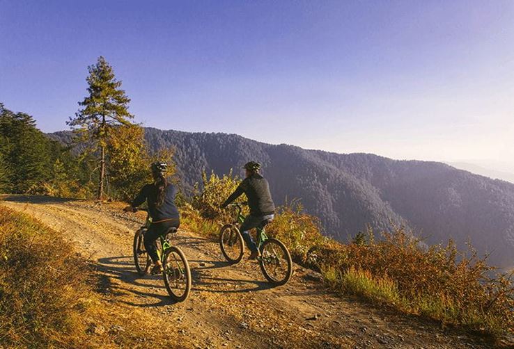 Mountain Biking Experience at 5 Star Resort in Shimla The Oberoi Wildflower Hall