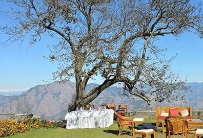 Picnic at the Peak Experience by The Oberoi Wildflower Hall Shimla